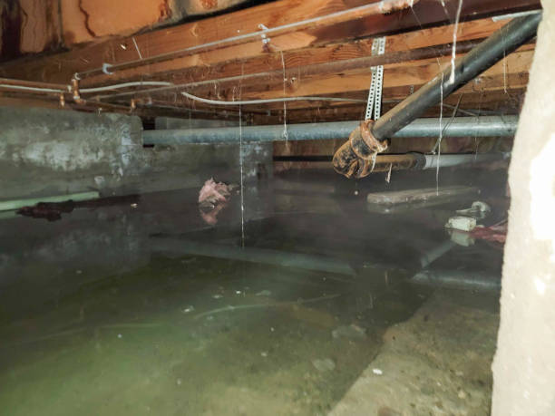 Best Flooded house restoration  in North Richmond, CA
