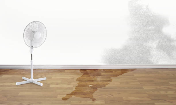 Best Water damage restoration process  in North Richmond, CA